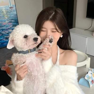 墨西卡利笨猫